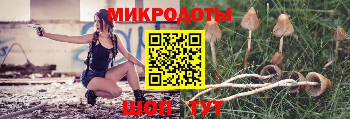 Галлюциногенные грибы мухоморы Кашира